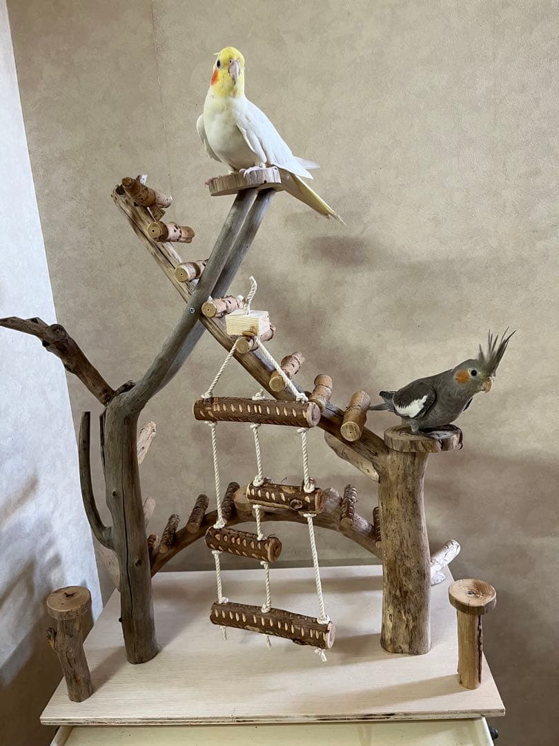 鳥インコ止まり木バードアスレチックバードジム大サイズ