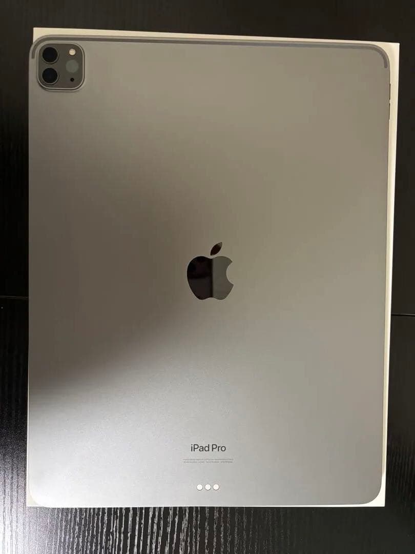 iPad Pro 12.9 inch 第6世代＋apple pencil
