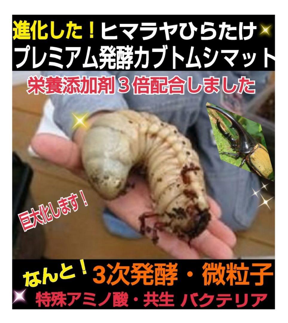 極上！プレミアム3次発酵カブトムシマット【6袋】特殊アミノ酸強化！ギネス級連発！