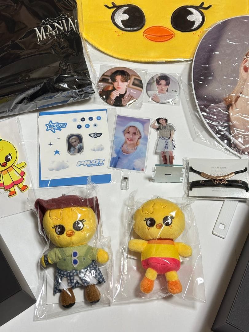 13点 スキズ Felix ピリ ポガリ グッズ 公式 ペンライト うちわ