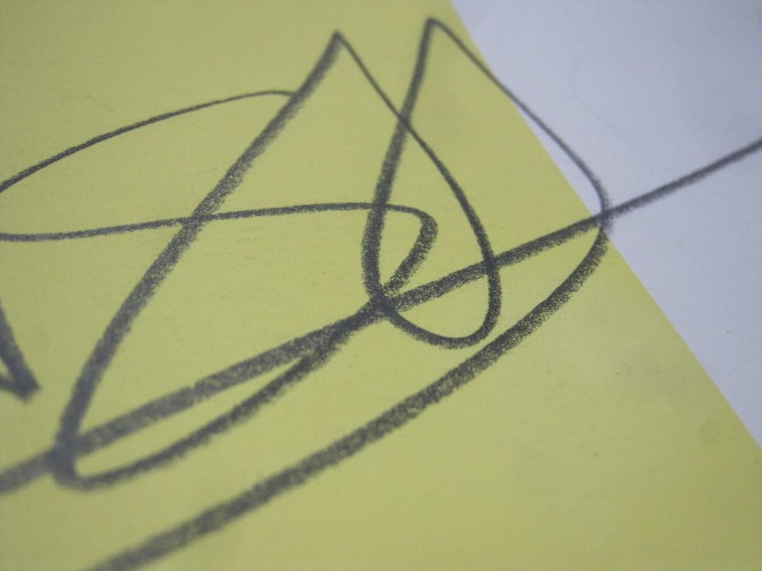 ▲山本 寛斎 さん ポートレート リトグラフ 版画 37/150 104×75