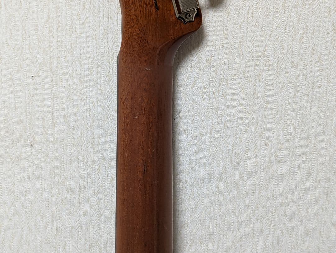 FGN フジゲン テレキャスター