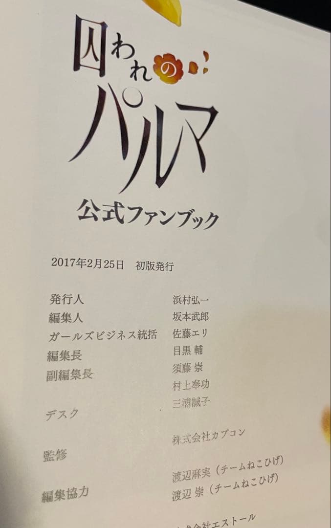 囚われのパルマ 公式ファンブック
