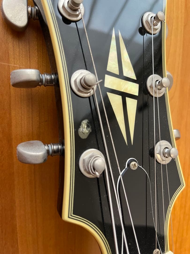 生形真一 Epiphone Shinichi Ubukata ES-355