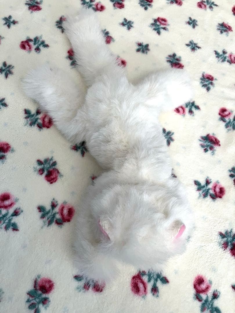 オオイケ　ペルシャ猫　ぬいぐるみ　昭和レトロ　美品