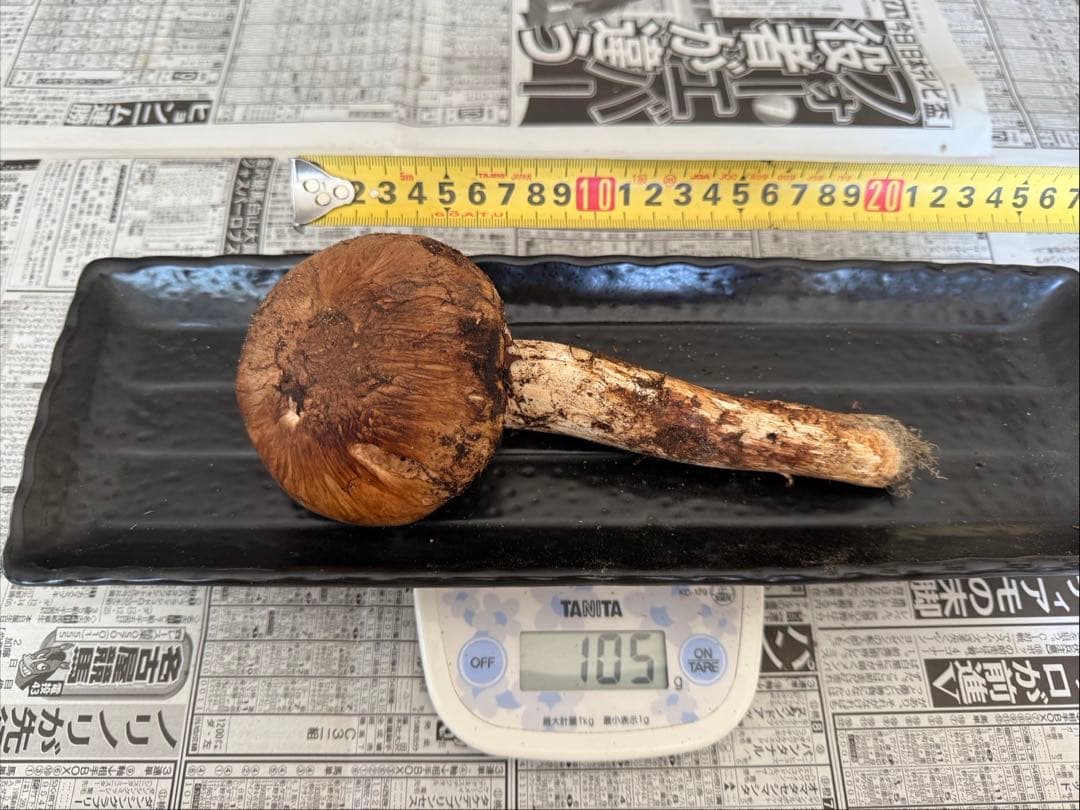 mer様　依頼品