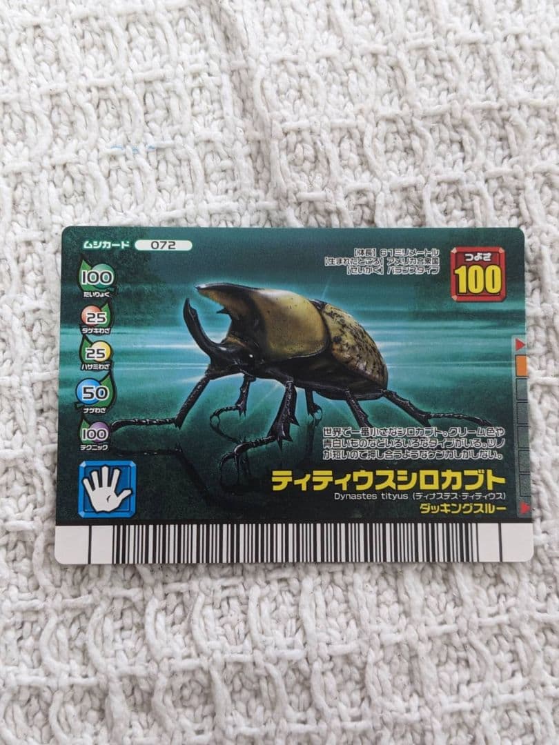昆虫トレーディングカードセット
