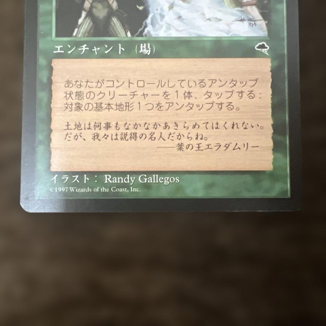MTG TMP 大地の知識