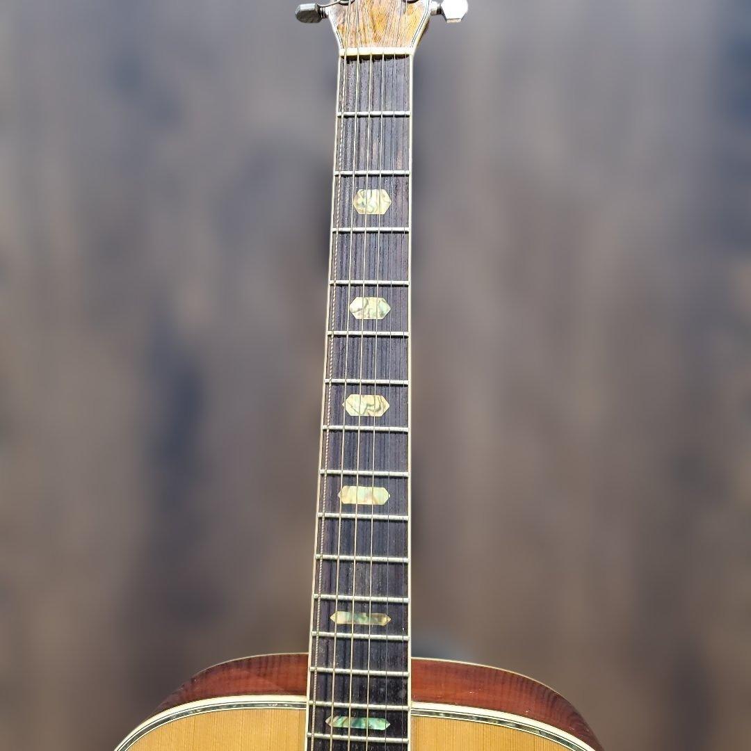 Morris W-40 アコースティックギター
