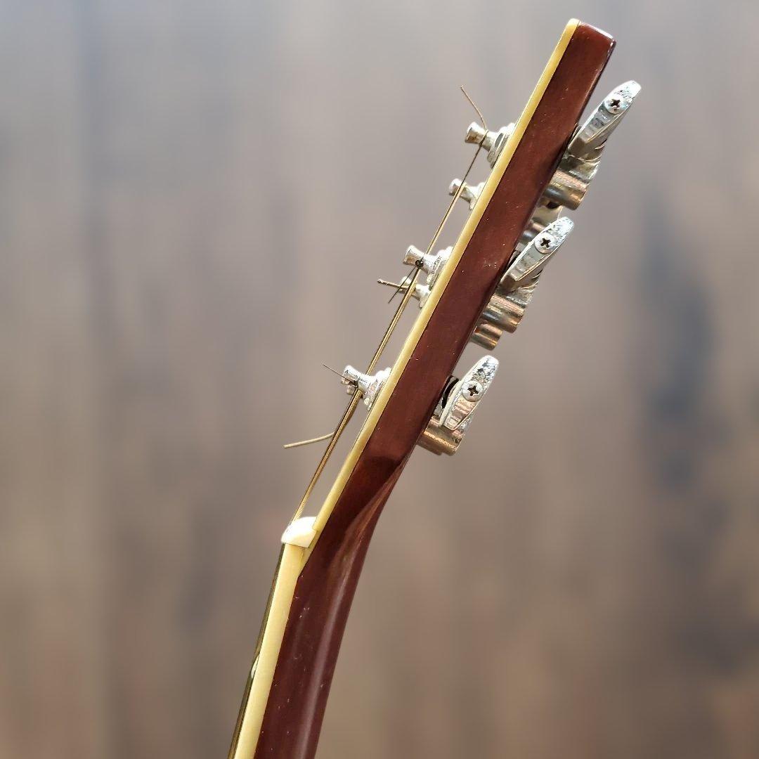 Morris W-40 アコースティックギター