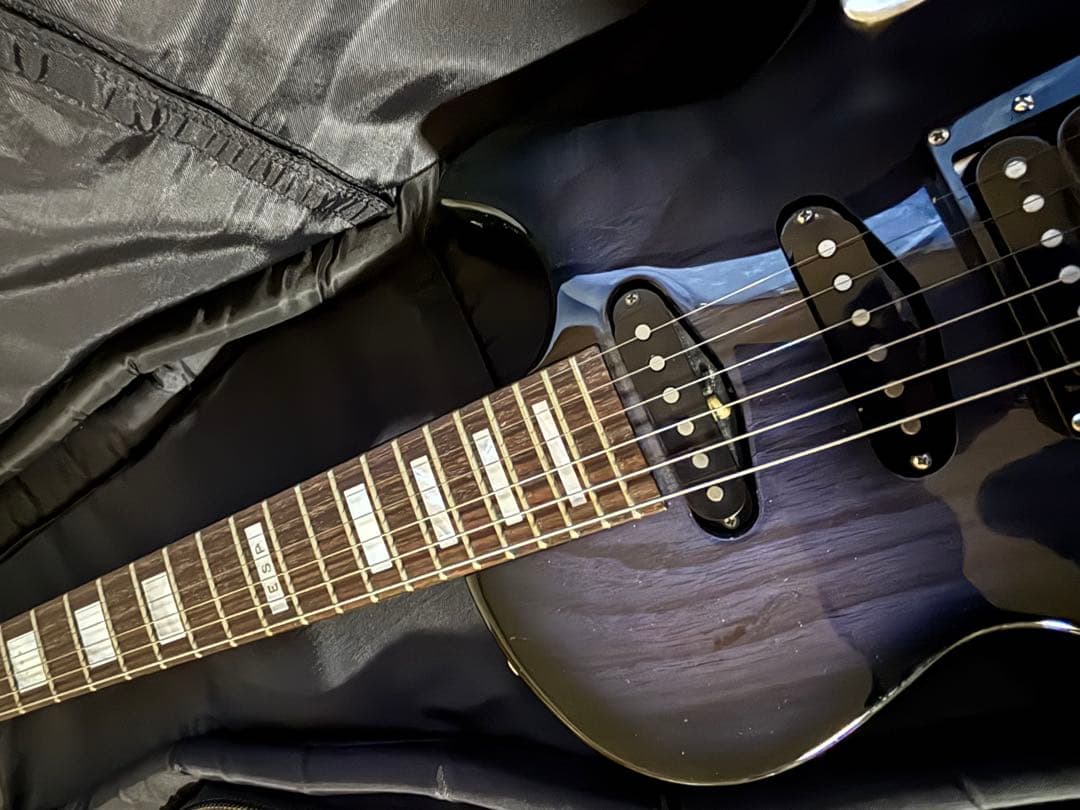 ESP カスタムオーダー　レスポールエレキギター