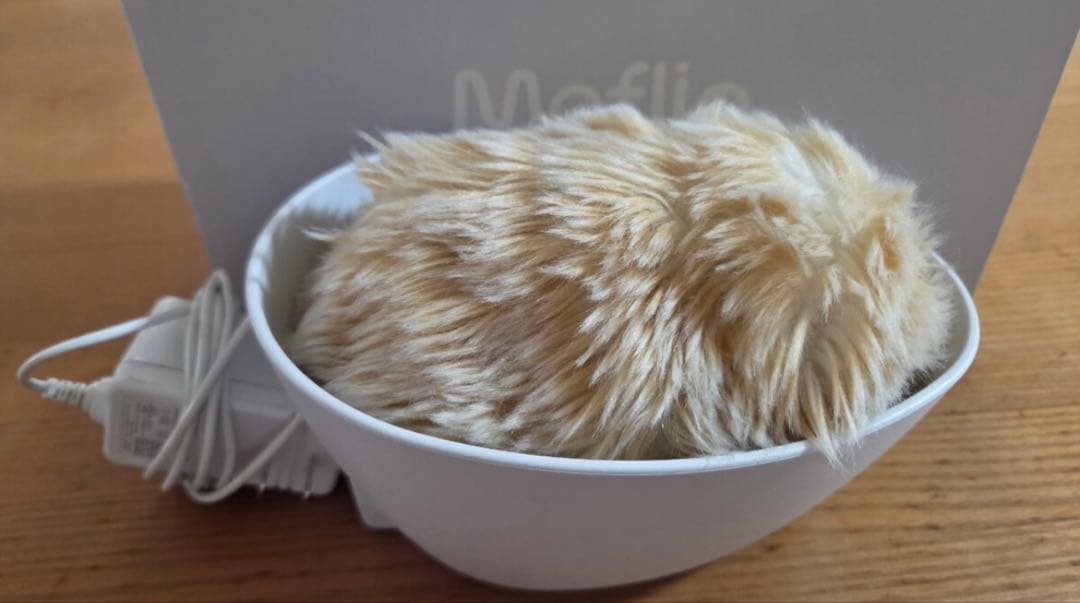 モフリン