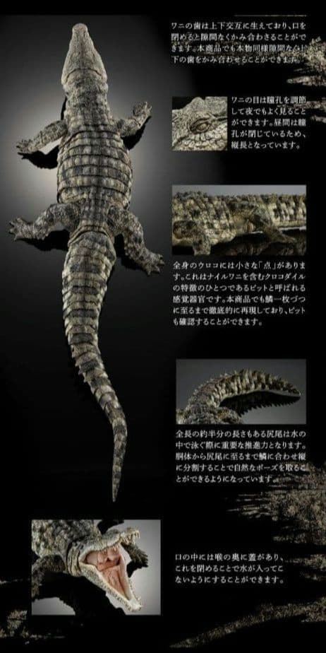 新品輸送箱未開封 いきもの大図鑑アルティメット ナイルワニ＆オオヨロイトカゲ