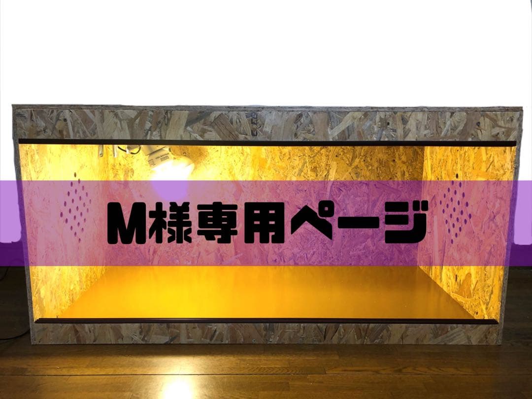 Mページ