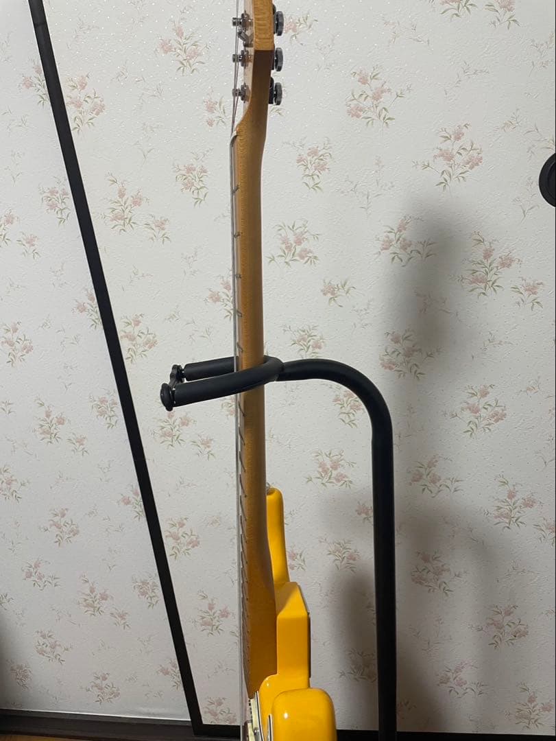 ギター Fender Player Plus Stratocaster