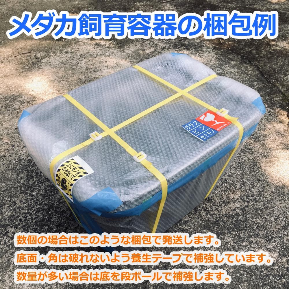 【新仕様】メダカ飼育ケース 75㍑深緑x3個 オーバーフロー対策済 金魚飼育容器