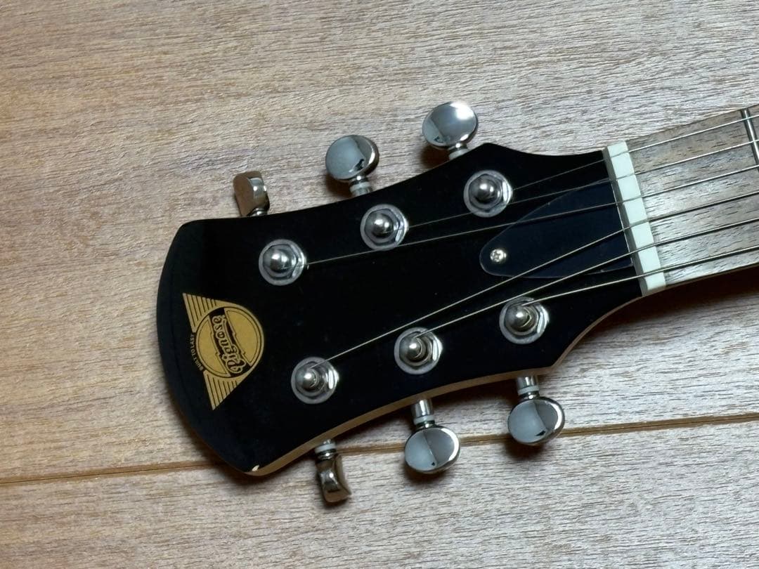 Pignose PGG-200 ブルーフレイム