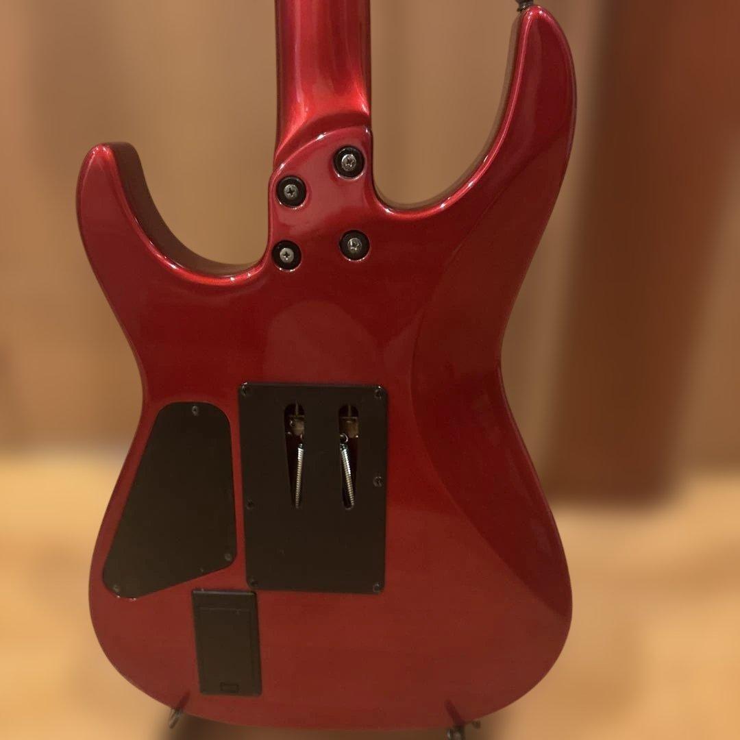 金ロゴ FERNANDES FR-55 アクティブ トレモロアーム・ケース付