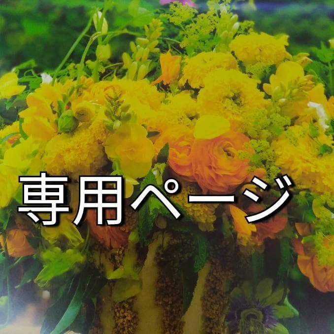 かつみん/3