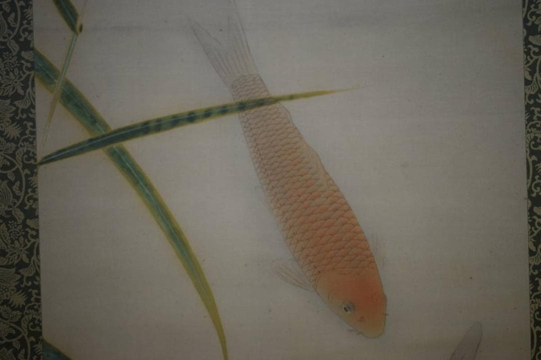 真作/恵製/鯉図/布袋屋掛軸HF-354