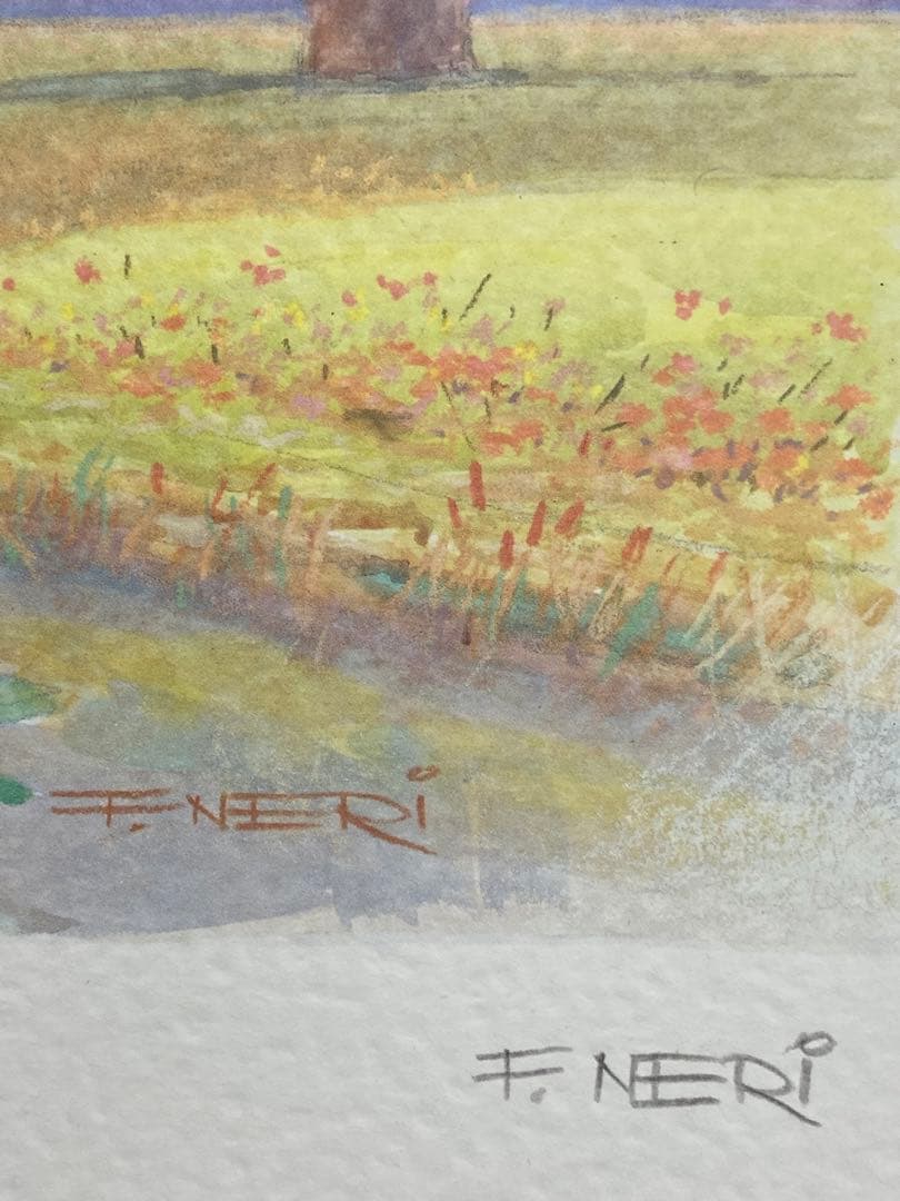 F. NERI 水彩画 Grazia della Folla