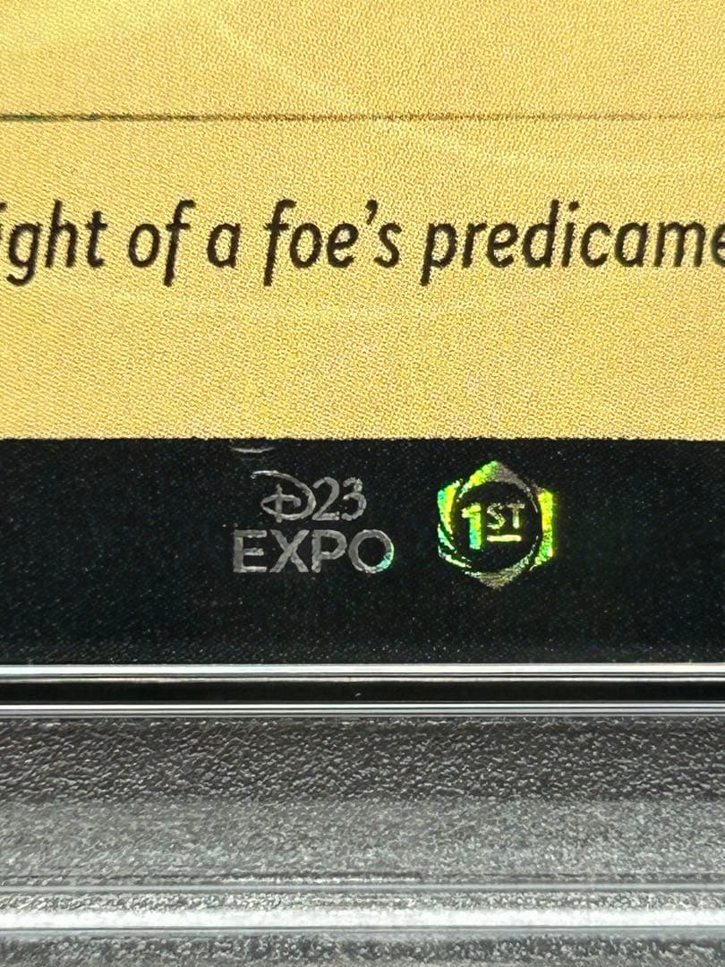 LORCANA ロルカナ D23 EXPO HOOK PSA9