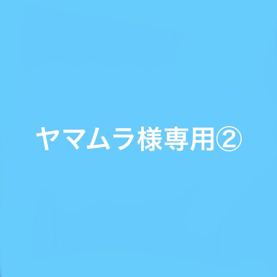 ヤマムラ②