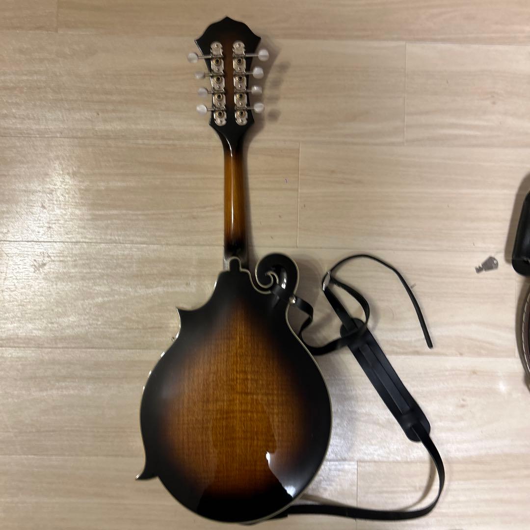 Fender ブルーグラスマンドリン