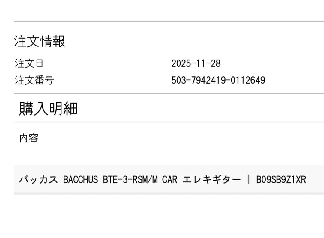 25.12月新品購入　Bacchus BTE-3-RSM H H テレキャスター