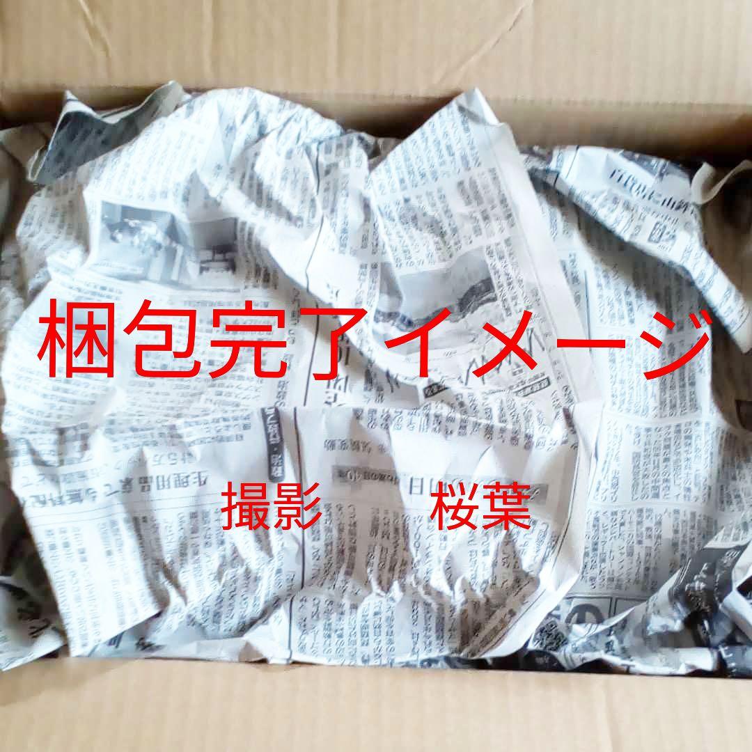 逆襲のシャア ガンプラ re ヤクトドーガ　ギュネイ·ガス機 新品　内袋未開封