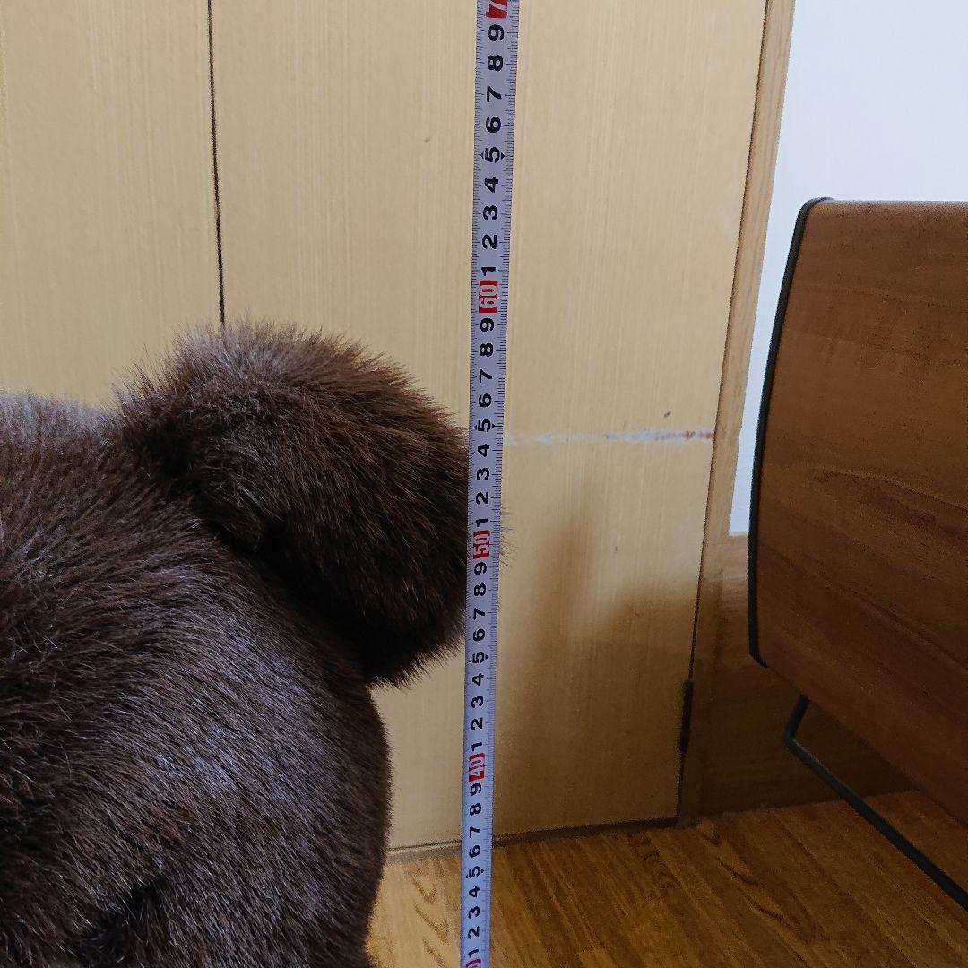 はな