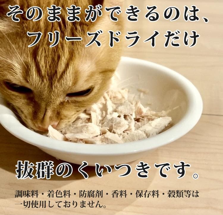 FOUR フリーズドライ ササミ 1500g 150g×10 国産 獣医推薦