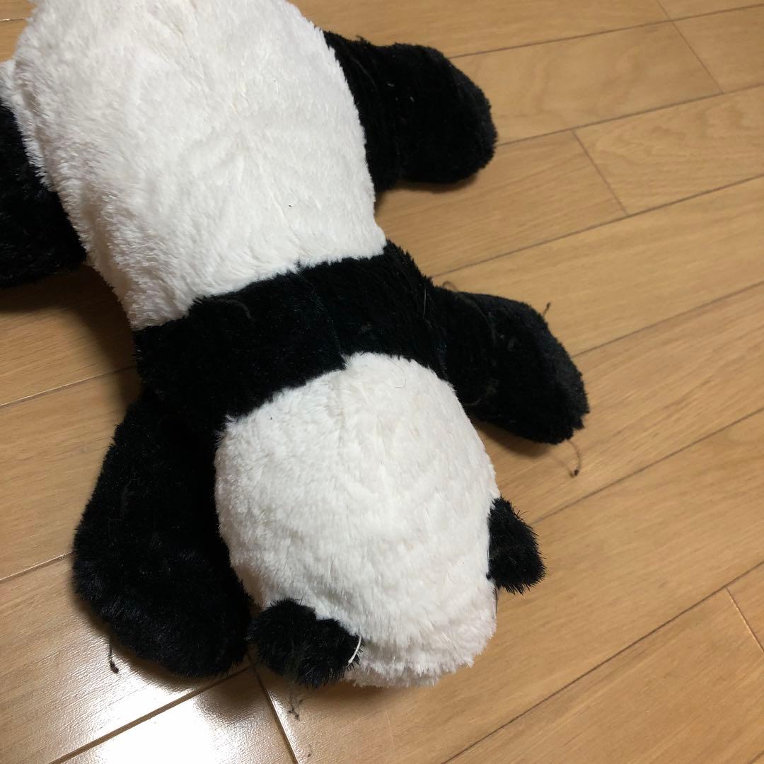パンダ