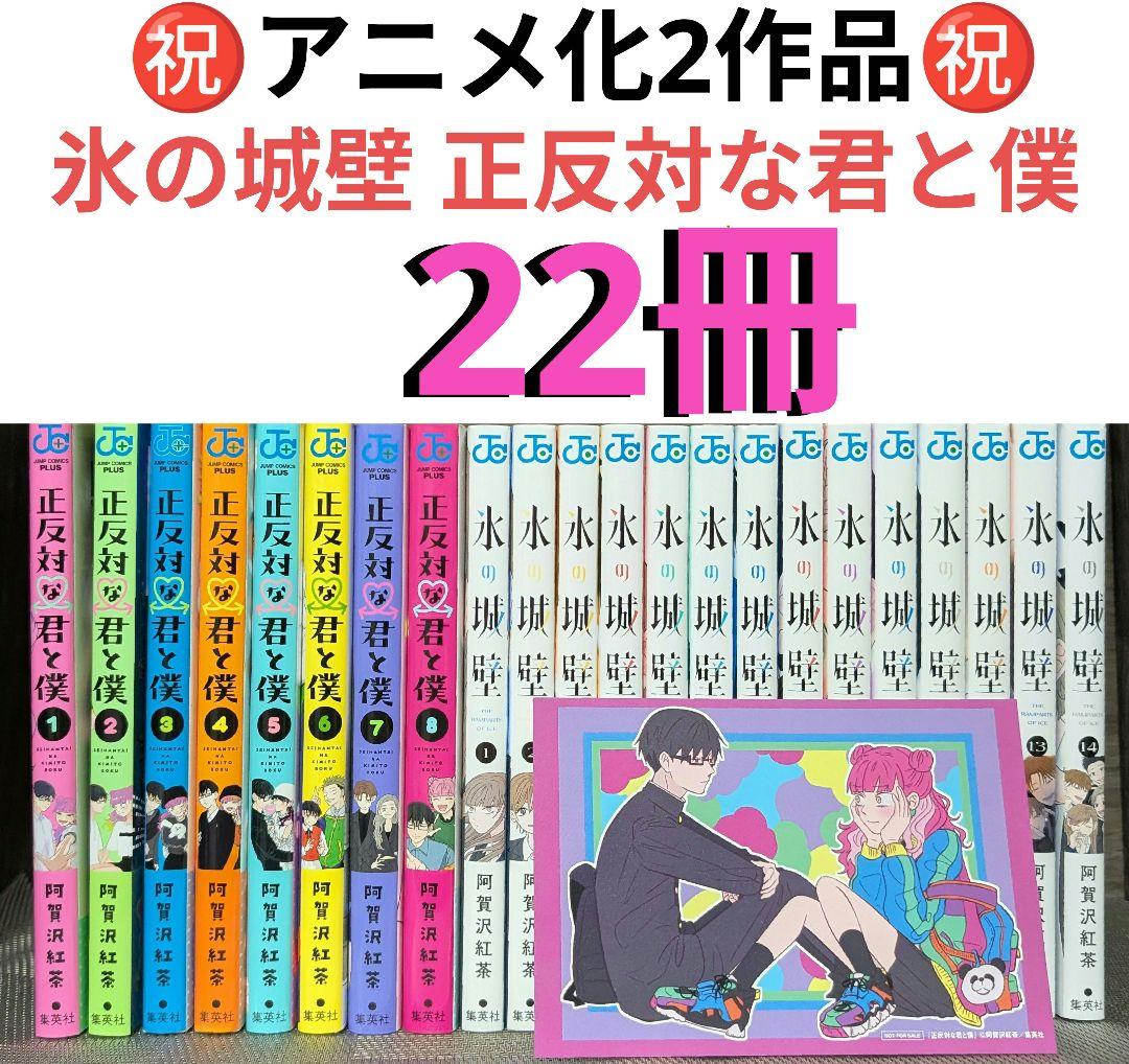 【22冊】 氷の城壁 正反対な君と僕