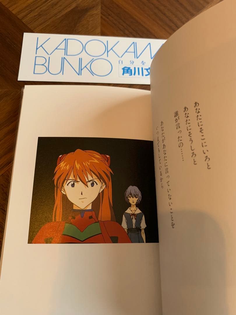 ⭐️エヴァンゲリオン　フォトグラフ　REI