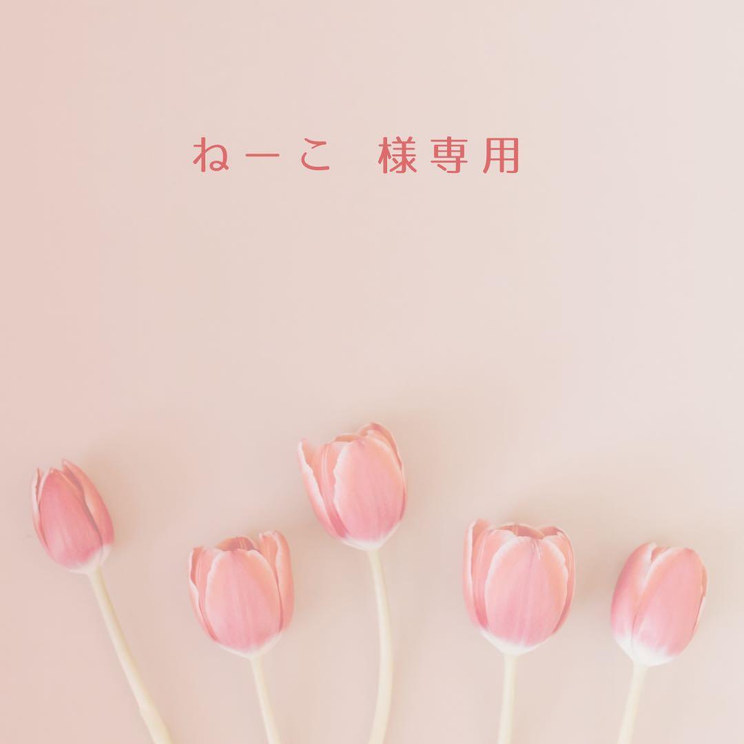 ねーこ
