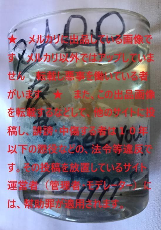 ★ZARD　坂井泉水「サイン入りキャンドル」