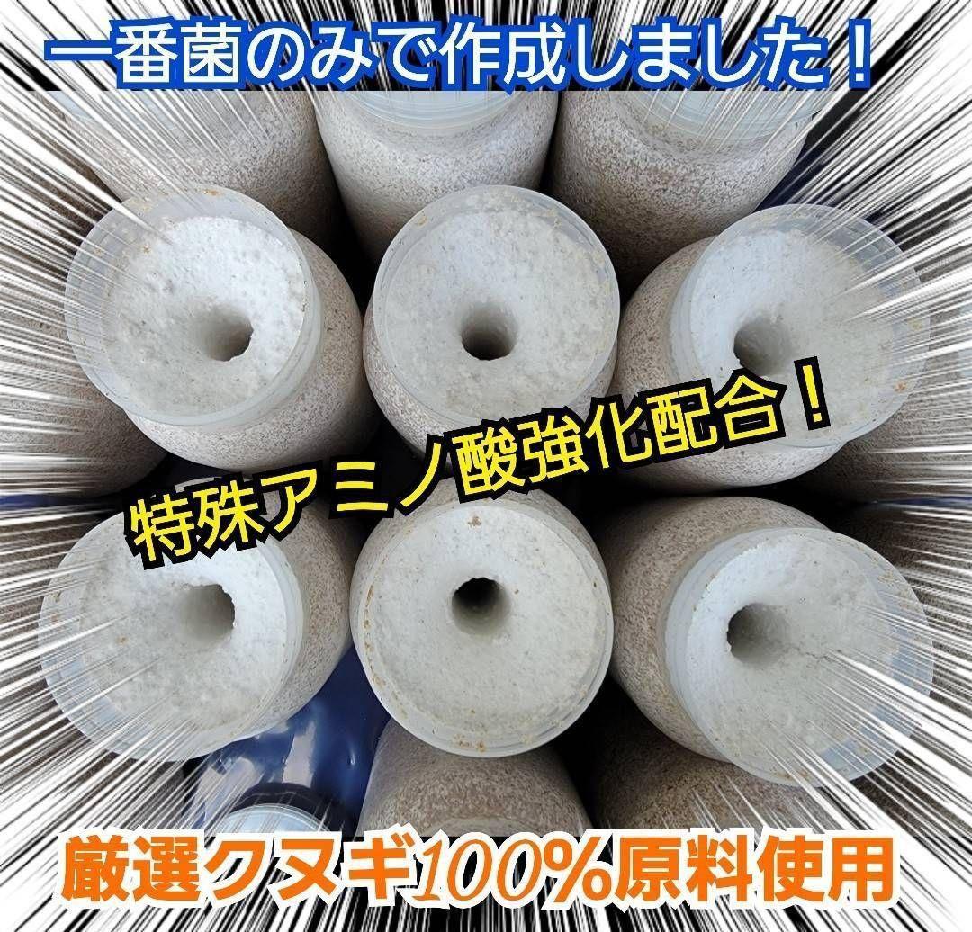 極上！カワラタケ菌糸瓶【9本】特殊アミノ酸強化配合！クワガタ幼虫全般に使えます！