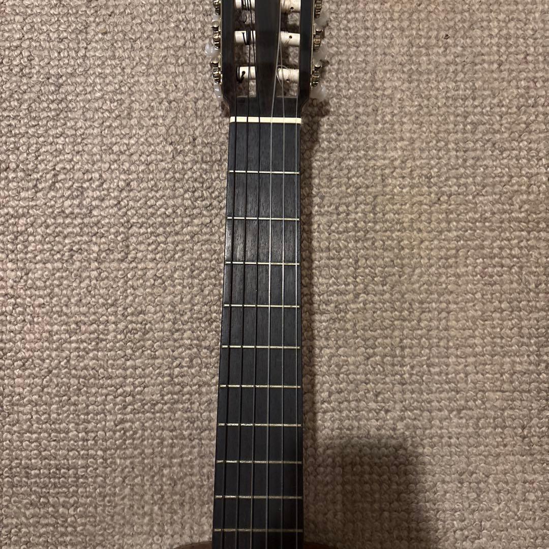 Morris (モーリス) M-25アコースティックギター
