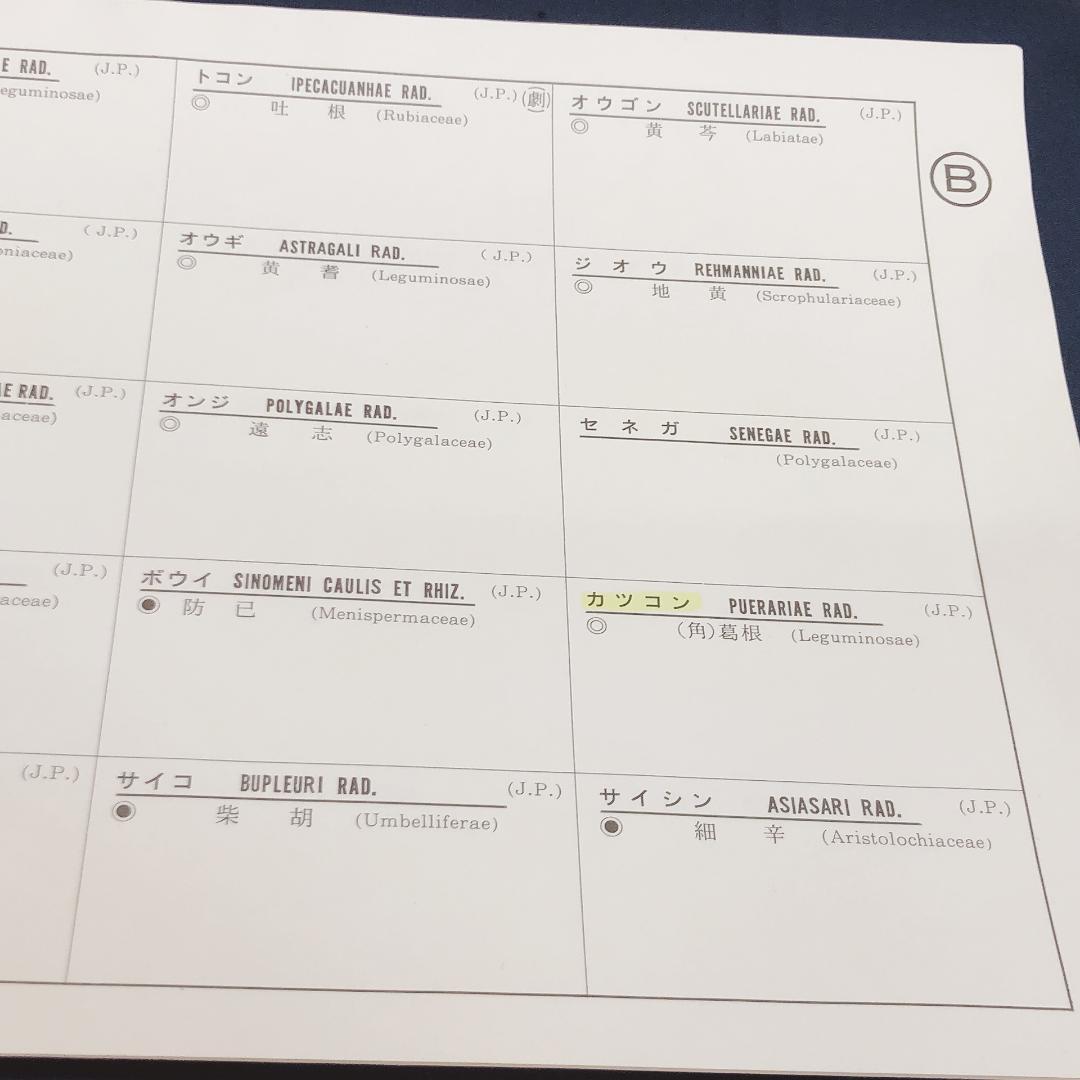 生薬標本一覧　80種　中井廣進堂　漢方　薬膳