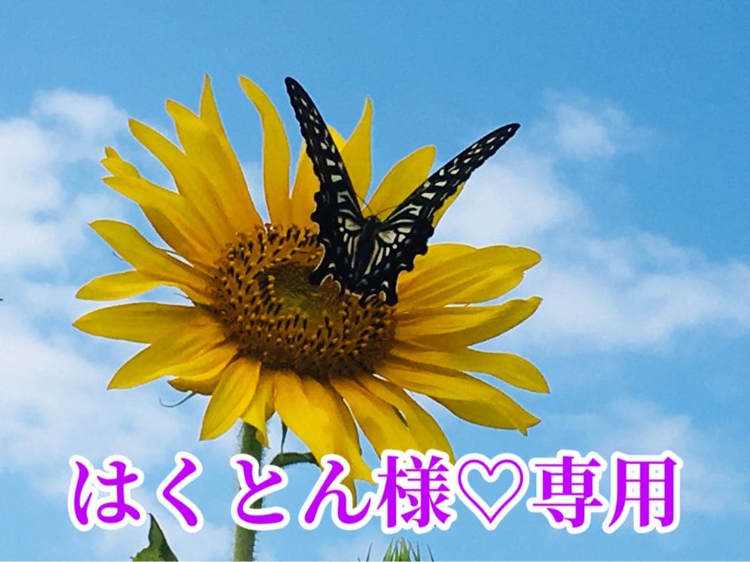 はくとん様❤️おまとめし専用ページです。2/14まで♡