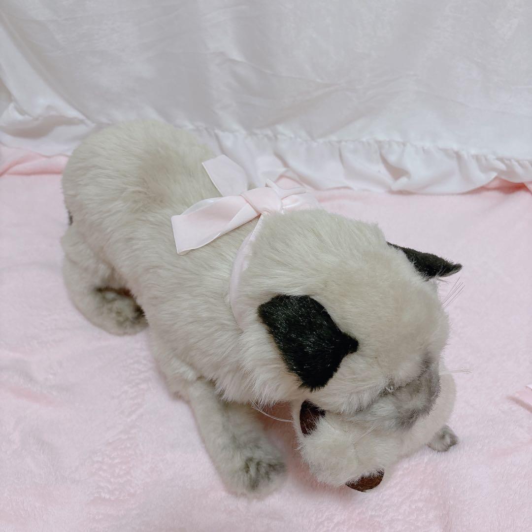 猫ちゃん