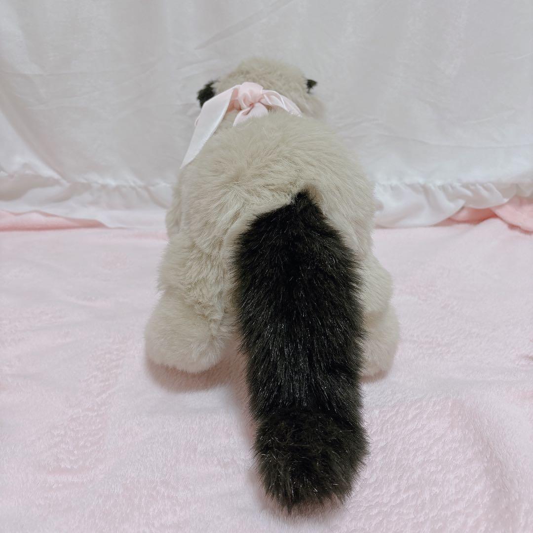 猫ちゃん