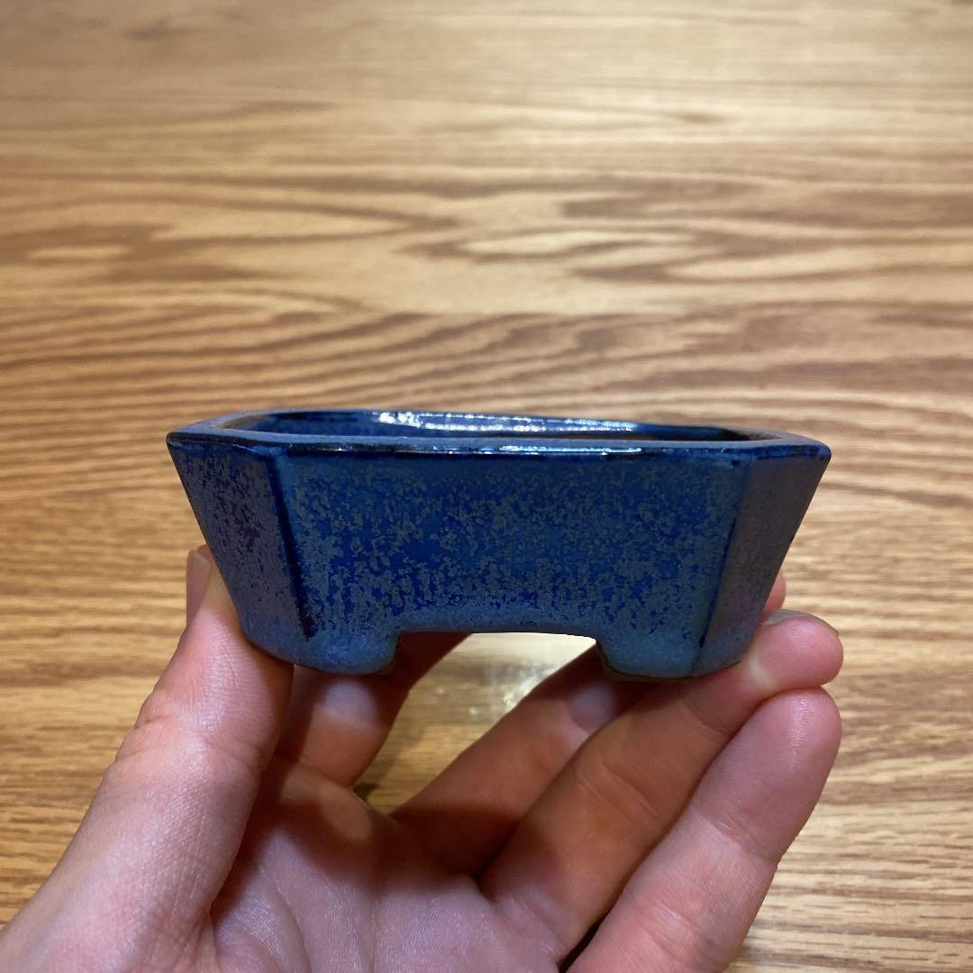 盆栽鉢　柴勝g