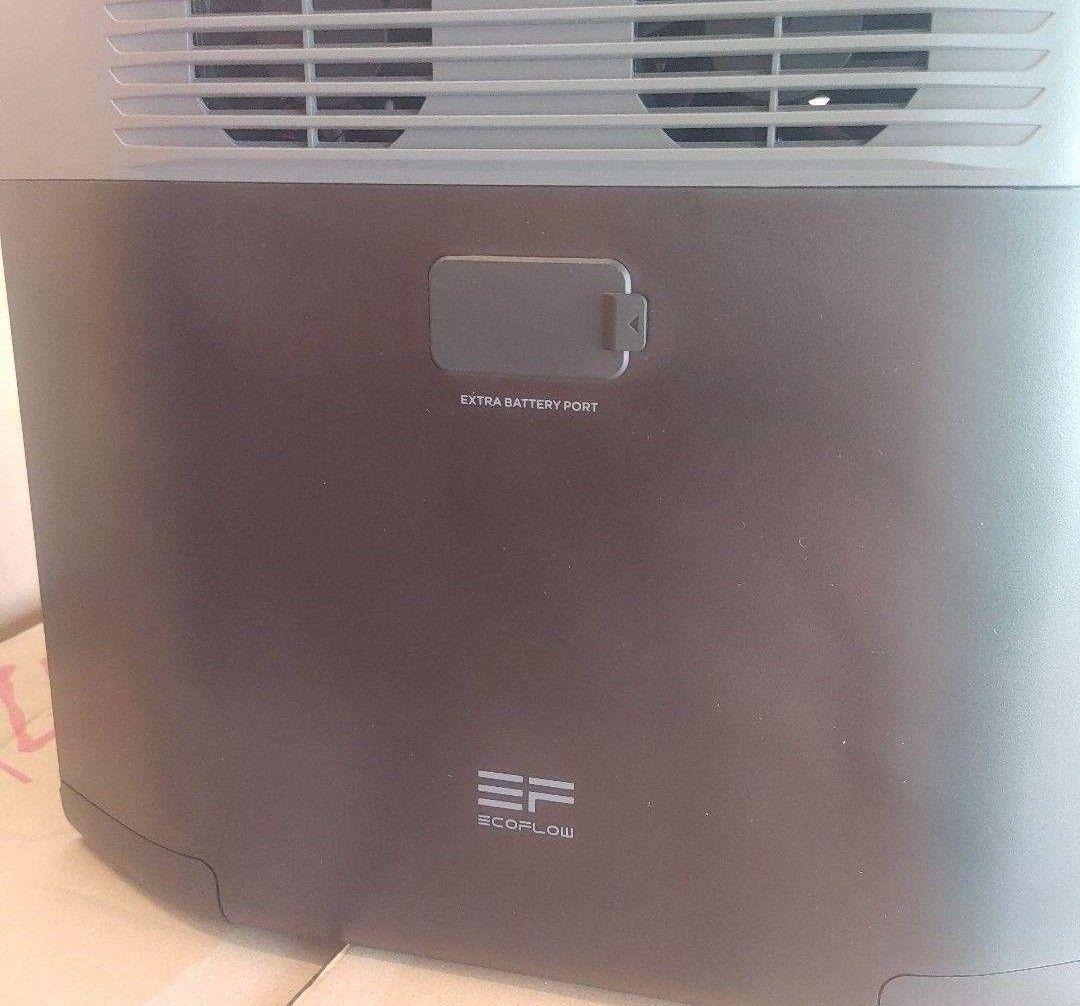 や*ま様 正規整備済品　EcoFlow DELTA 2 ポータブル電源