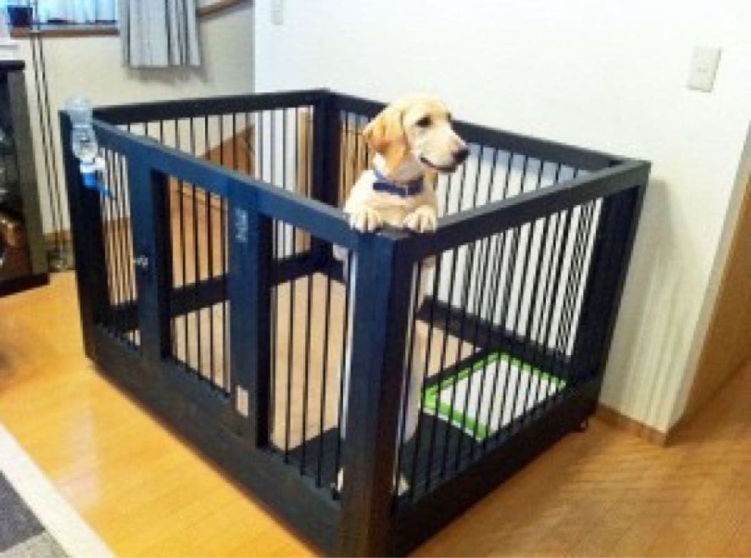 大型犬