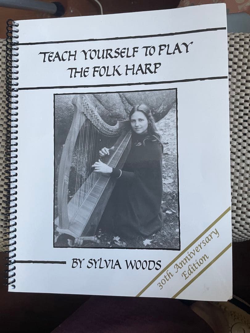 青山サウル　25弦ハープ 装飾無し