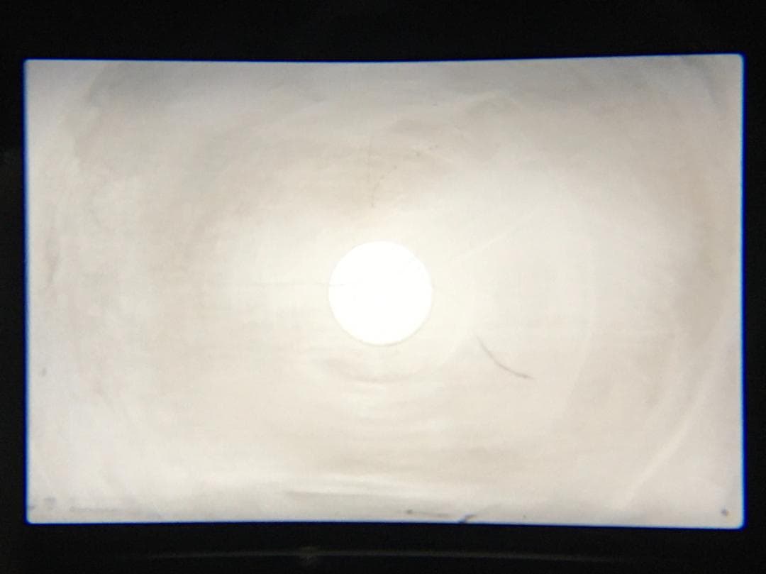 ツバサ　Yashica FX-3 Super 2000 #1347