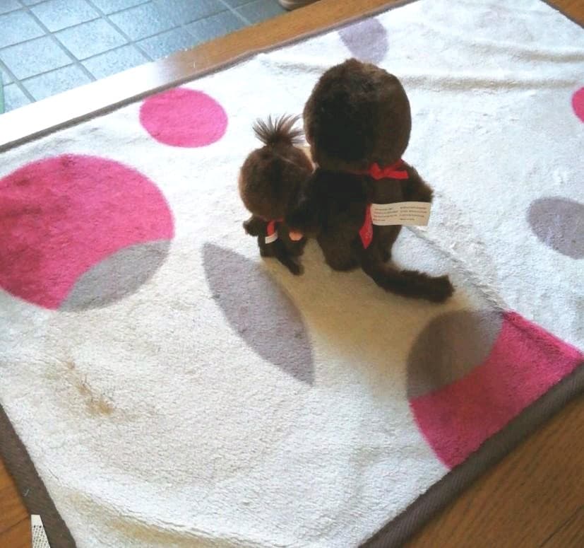 マイチッチちゃん　お直し進捗報告♫