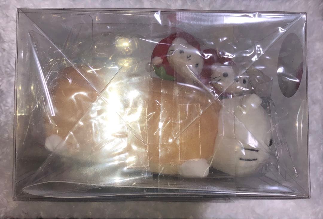 .にゃんこ学校